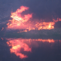 Wildland Fire Reflected