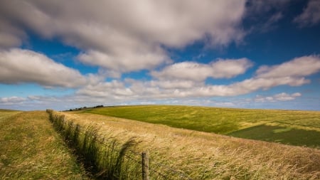 Field - Field, grass, nature, sky