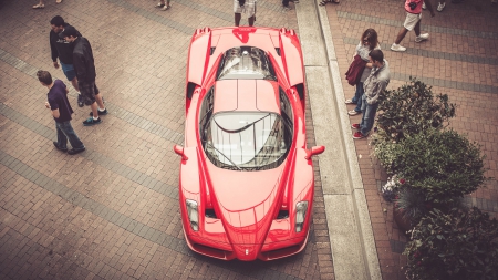 Ferrari - Ferrari, car, red, wheel