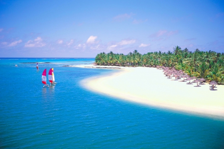 Dreamy Beach at Bora Bora - white, palms, sea, sand, sailboats, umbrellas