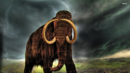 Mammoth - ART, NATURE, HISTORY, BEAUTY