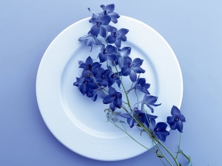 Blue petals - flowers, plate, petals, blue