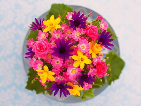 Beautiful flowers - colorful, flowers, plate, petals