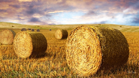 Making Hay - clouds, summer, harvest, grass, agriculture, fall, autumn, hay, field, country, farm, sky, bales