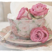 pink roses in teacup