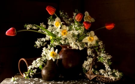 Still life - flower, pot, still life, tulips