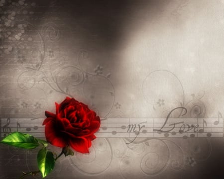 Love - music, black and white, love, red rose