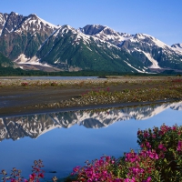 Glacier Bay National Park, Alaska