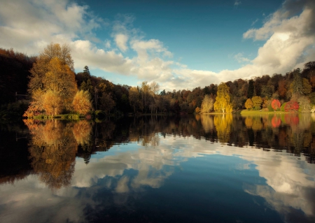 forest lake - fun, lake, forest, nature