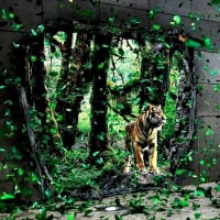 THROUGH THE WALL OF NATURE