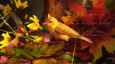 Autumn Falling Down - fall, bird, bright, flowers, leaves, orange, yellow, autumn