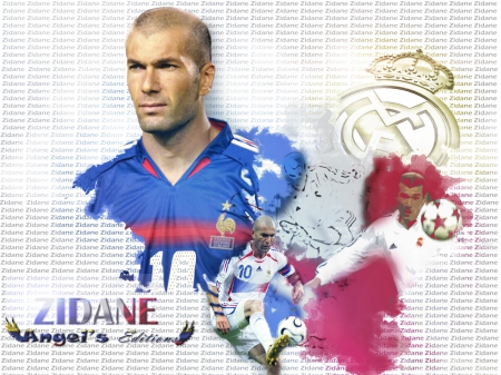 Zidane the best player - zidane, soccer, france, futbol