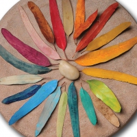 Mother Nature's Color Wheel by Pixy Cakes