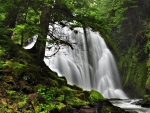 Mountain Waterfall