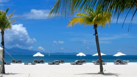 Langkawi Beach, Malaysia - white, sea, sand, palm, umbrellas