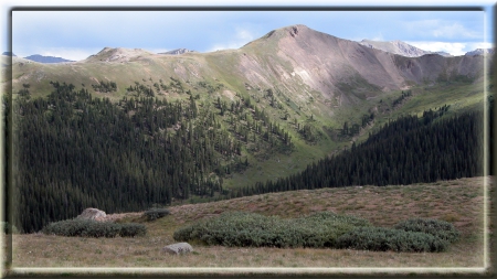 Colorado Rockies - alpine, alpine meadow, colorado, mountains, peaks, rockies