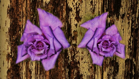 Purple Roses