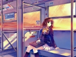 Anime schoolgirl in train