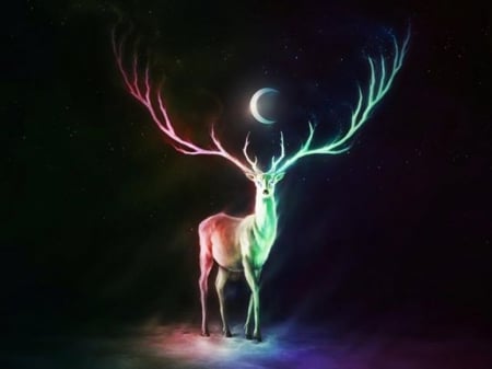 The Stag - stag, crescent, moon, colorful, pose, night, antlers