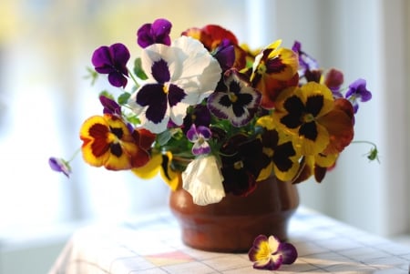 *** Nice and fresh pansies bouquet *** - nature, bouquet, flowers, flower