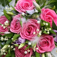 Lovely Pink roses