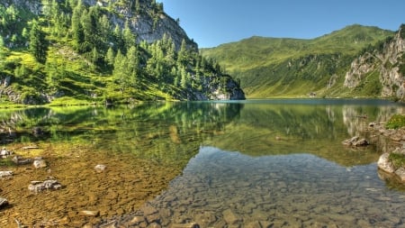 magnificent clear lake - lake, forest, mountains, clear, rocks, branches