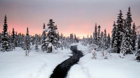 beautiful river in winter - winter, forest, sunrise, river