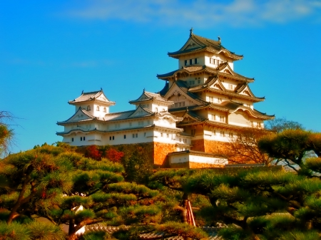 Pagoda - trees, japan, hdr, pagoda, photo