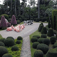 Thailand Gardens