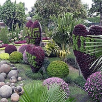 Thailand Gardens