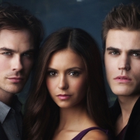 vampire diaries tv show