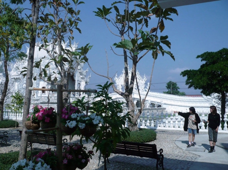 White Temple - white, holidays, temple, thailand