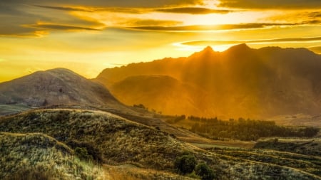 gorgeous sunset - forest, mountains, valley, sunset, grass