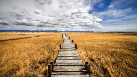 boardwalk on grassy wetlands on the prairie - boardwalk, prairie, grass, clouds