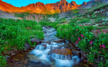 Silverton, Colorado - hills, cascades, summer, amazing, America, grass, meadow, flowers, gorgeous, Colorado, nice, sky, falling, greenery, water, beautiful, Silverton, slope, lovely, peaks, fall, wildflowers, glow, nature, waterfall, rocks