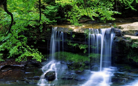 Forest Waterfall, West Virginia - forest, waterfall, usa, river