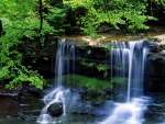 Forest Waterfall, West Virginia