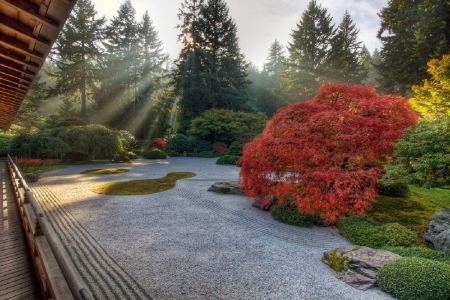 Japanese garden - nature, image, garden, japanese