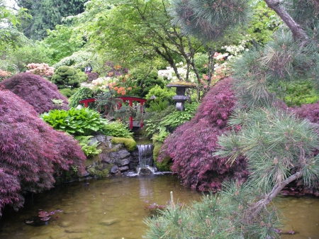 Japanese garden - garden, water, image, nature, japanese