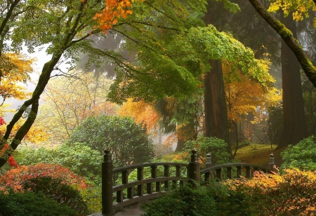 Japanese garden - japanese garden, nature, image, fall season