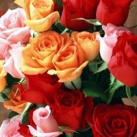 Flowers For My DN Friends :)