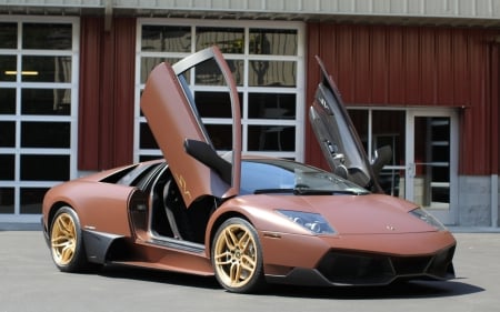 Lamborghini meet interesting color! - dana lee klug, fast, twitter, facebook