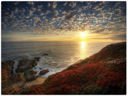 Bodega Head - bodega, head