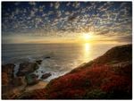 Bodega Head