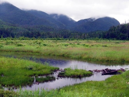 Flowed lands - nature, grass