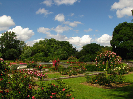 Garden - nature, gardens