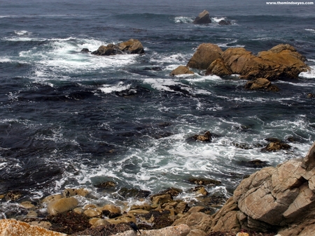 Pebble beach - nature, beaches