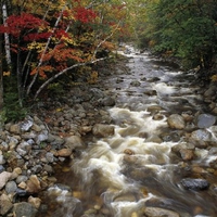 Mountain Stream, New Hampshire