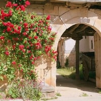 Barrio de Santa Maria Palencia