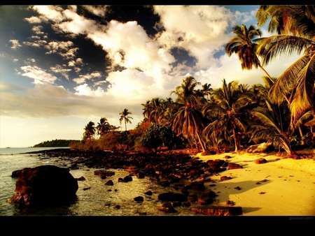 BEACH SUNSET - beach, palm trees, clouds, sunset, stones